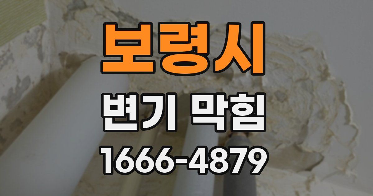 보령시 변기 막힘