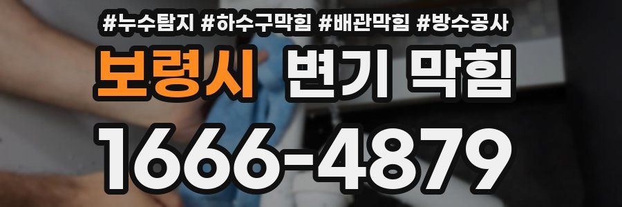 보령시 변기 막힘