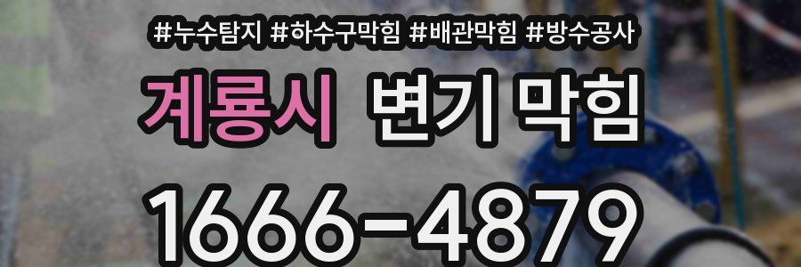 계룡시 변기 막힘