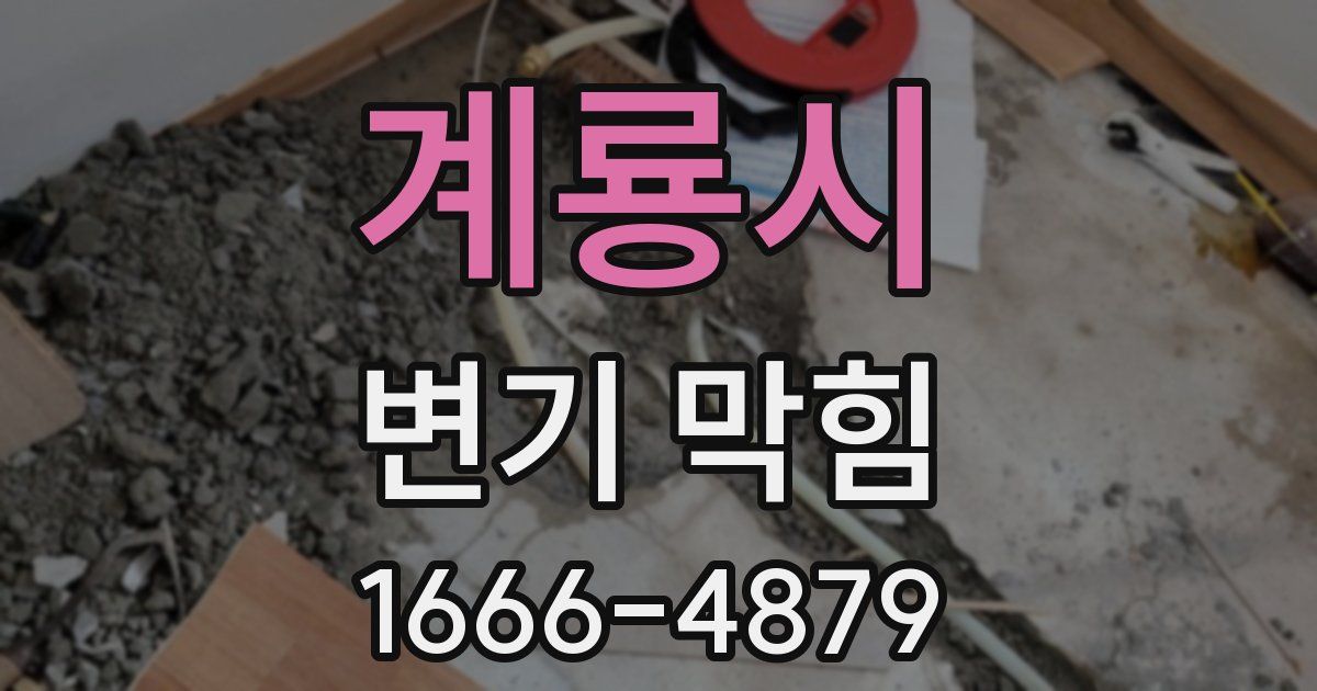 계룡시 변기 막힘