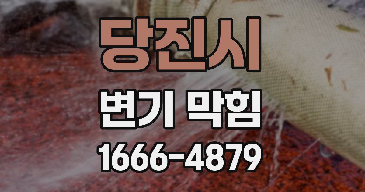 당진시 변기 막힘