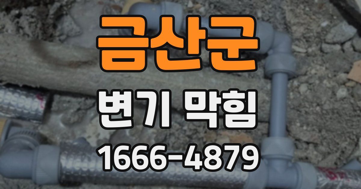 금산군 변기 막힘