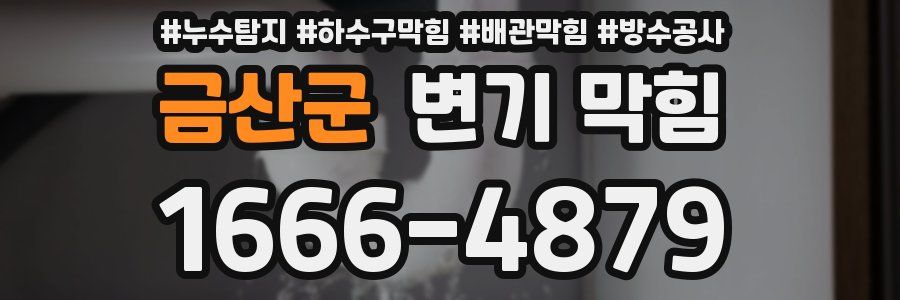 금산군 변기 막힘