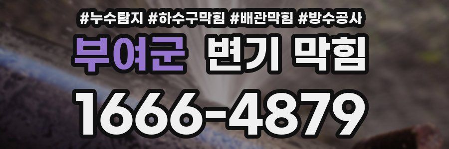 부여군 변기 막힘