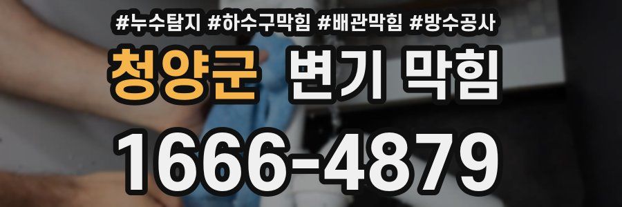 청양군 변기 막힘