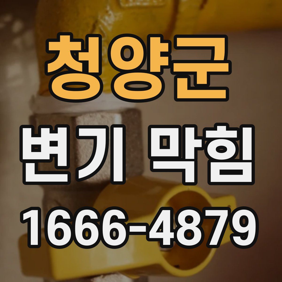 청양군 변기 막힘