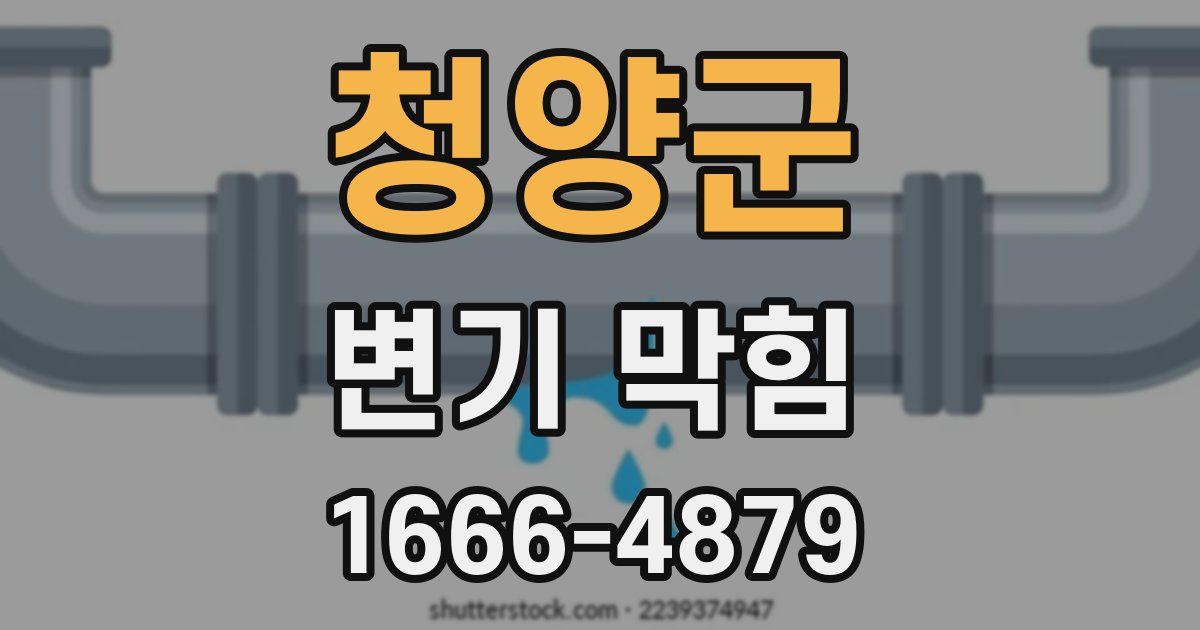 청양군 변기 막힘