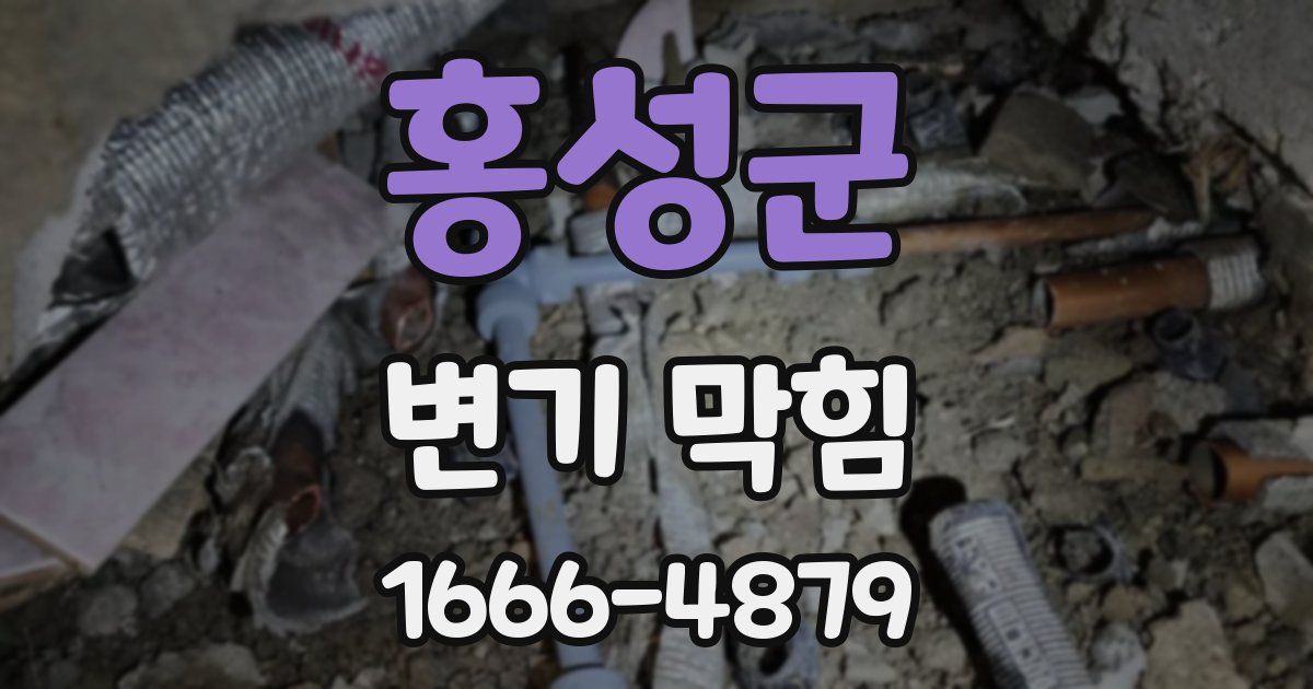 홍성군 변기 막힘