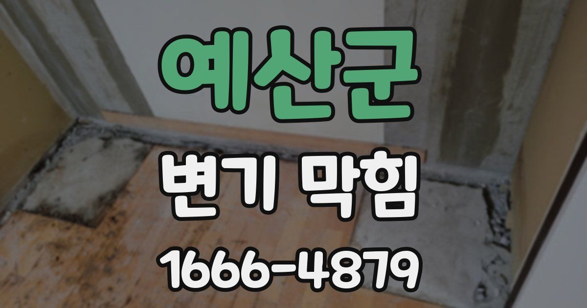예산군 변기 막힘