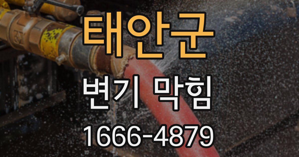 태안군 변기 막힘