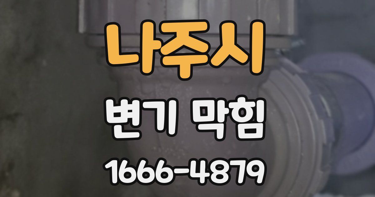 나주시 변기 막힘