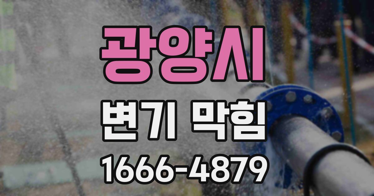 광양시 변기 막힘