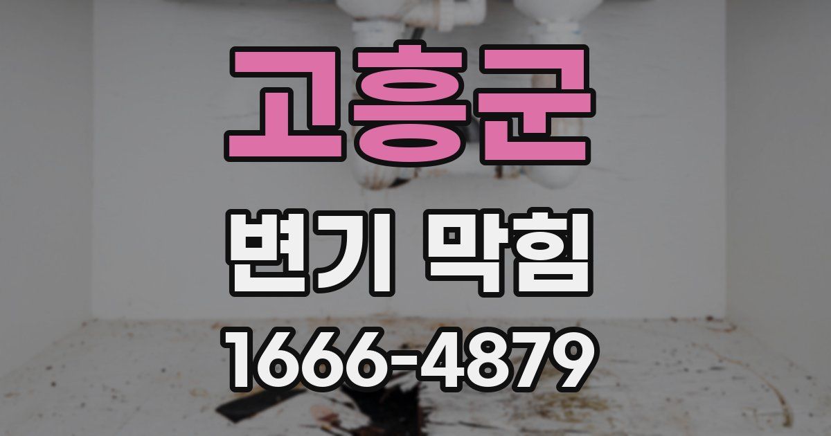 고흥군 변기 막힘