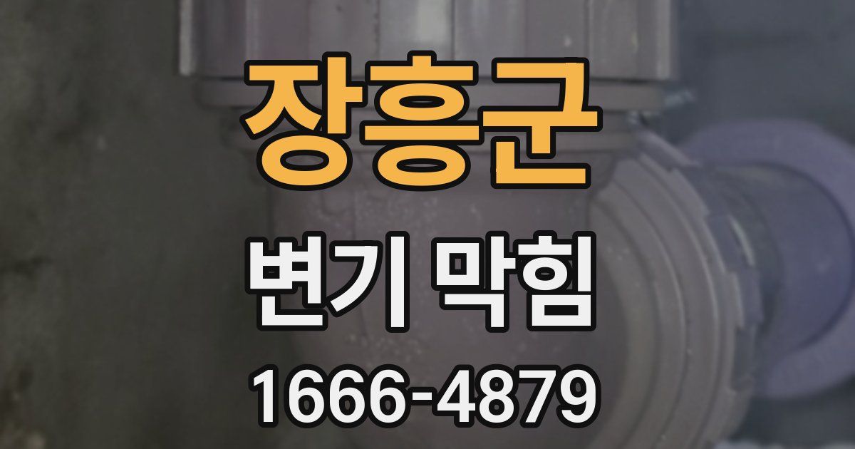 장흥군 변기 막힘