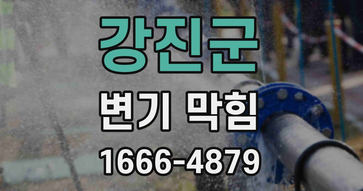 강진군 변기 막힘