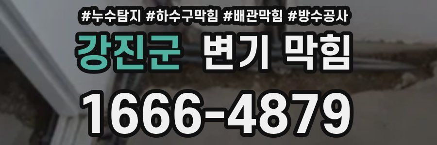 강진군 변기 막힘