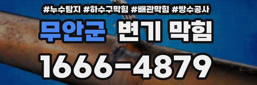 무안군 변기 막힘