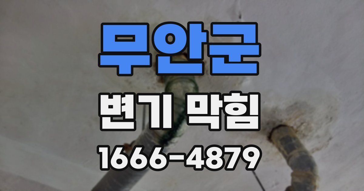 무안군 변기 막힘