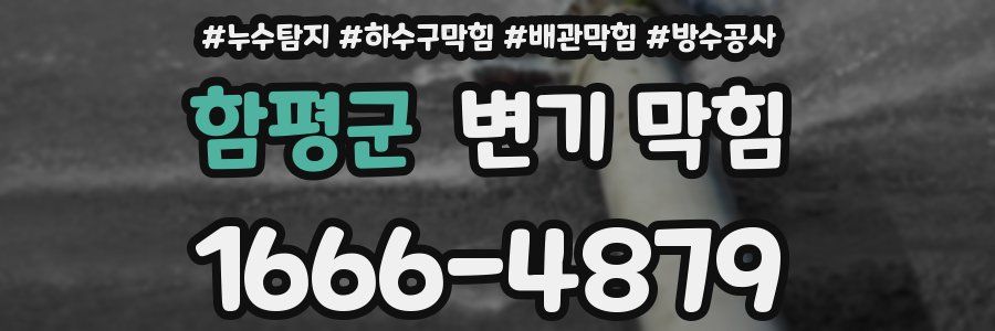 함평군 변기 막힘