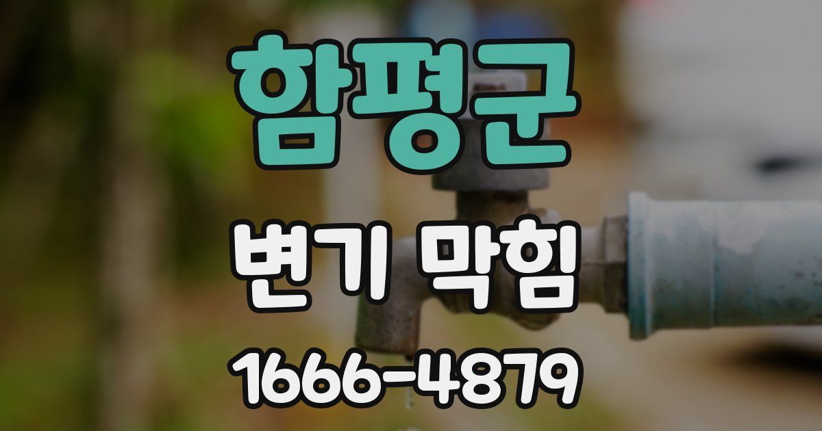 함평군 변기 막힘