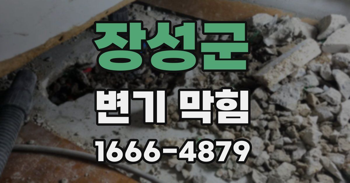 장성군 변기 막힘