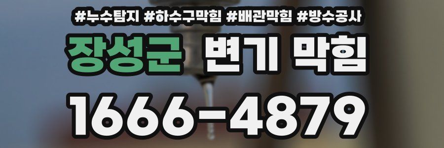 장성군 변기 막힘