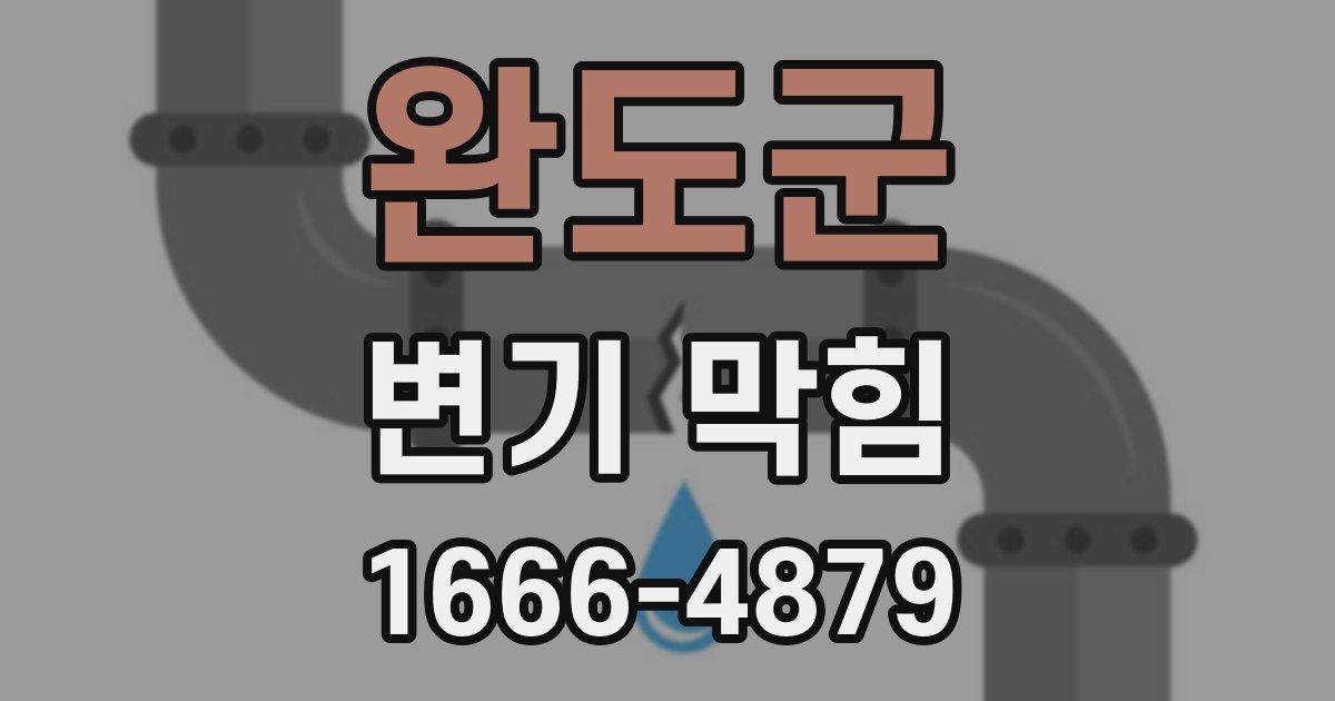 완도군 변기 막힘