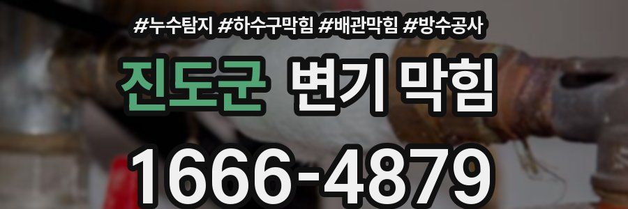 진도군 변기 막힘