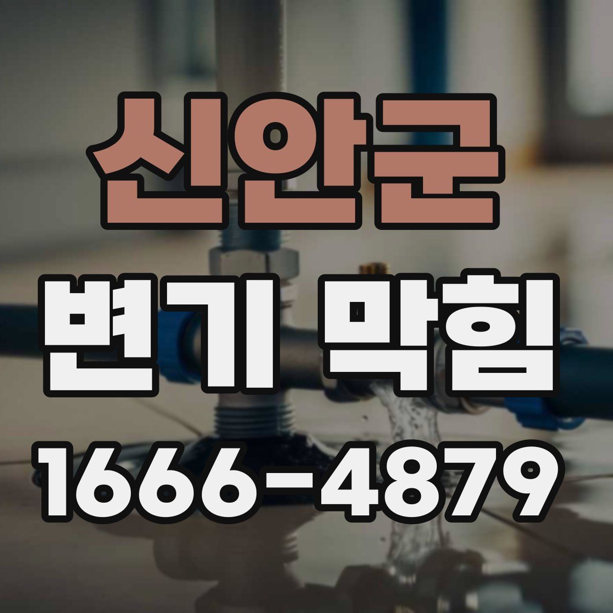 신안군 변기 막힘