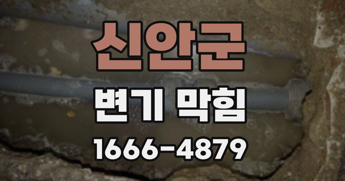 신안군 변기 막힘
