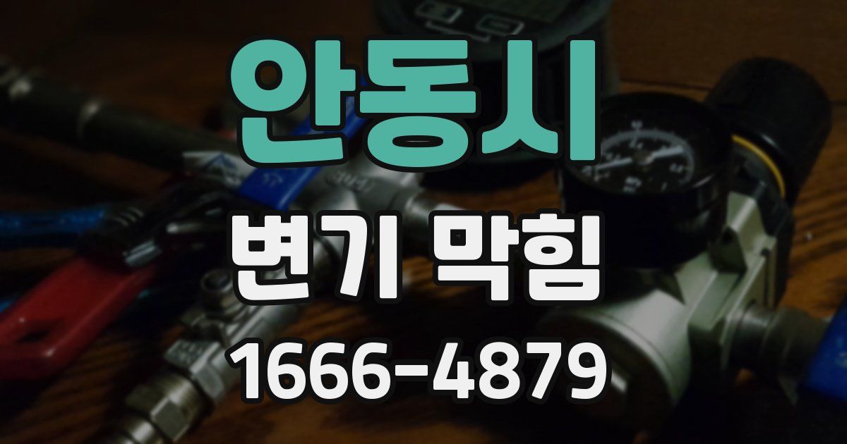 안동시 변기 막힘