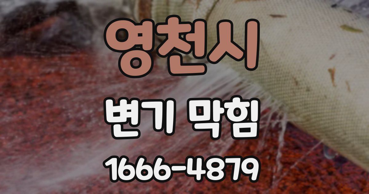 영천시 변기 막힘