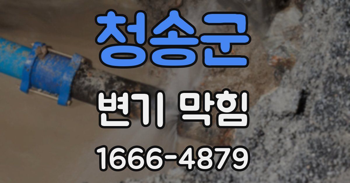청송군 변기 막힘