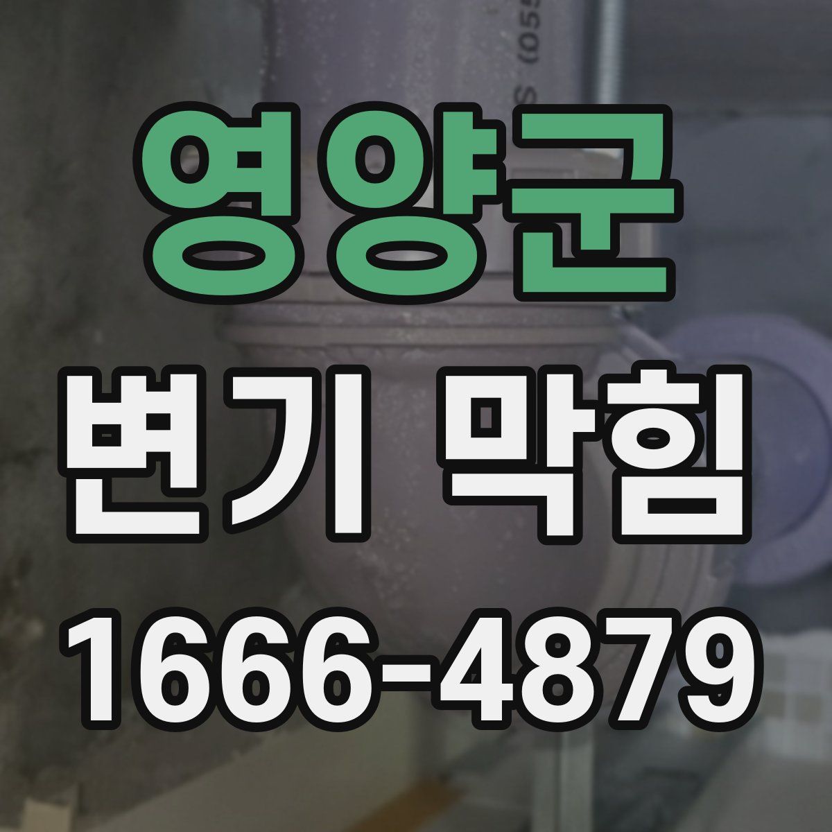 영양군 변기 막힘