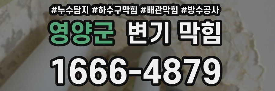 영양군 변기 막힘