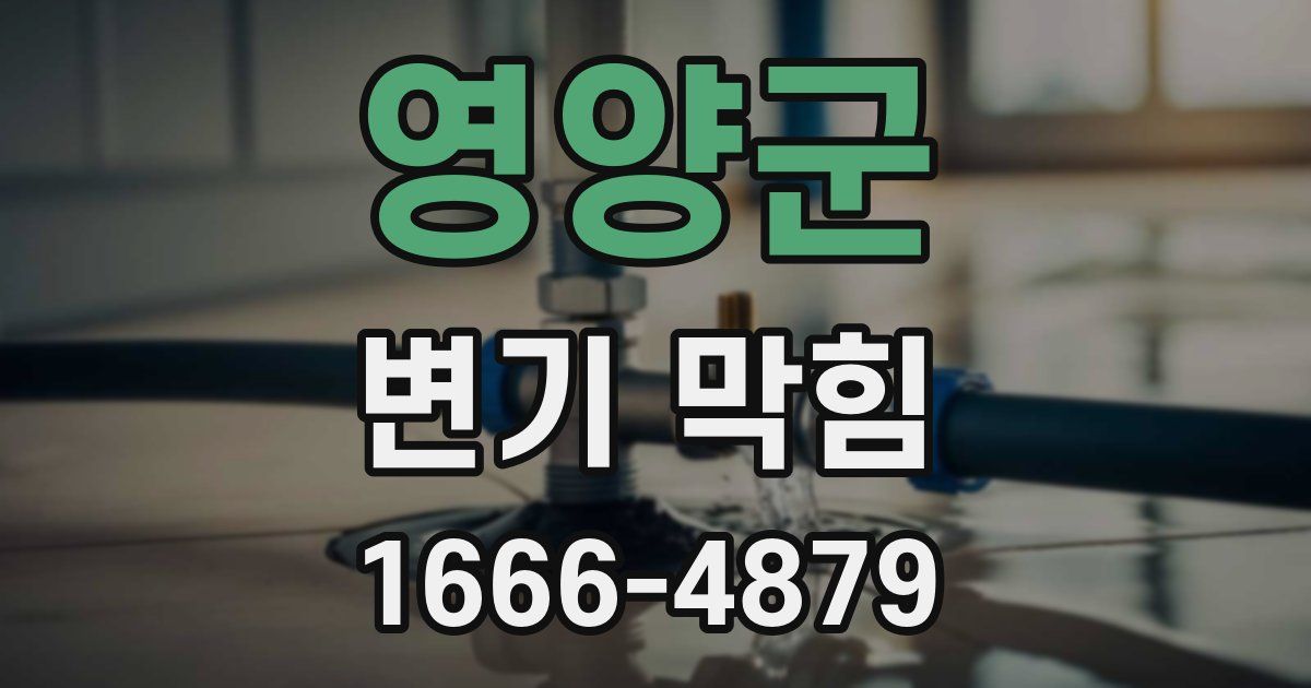 영양군 변기 막힘