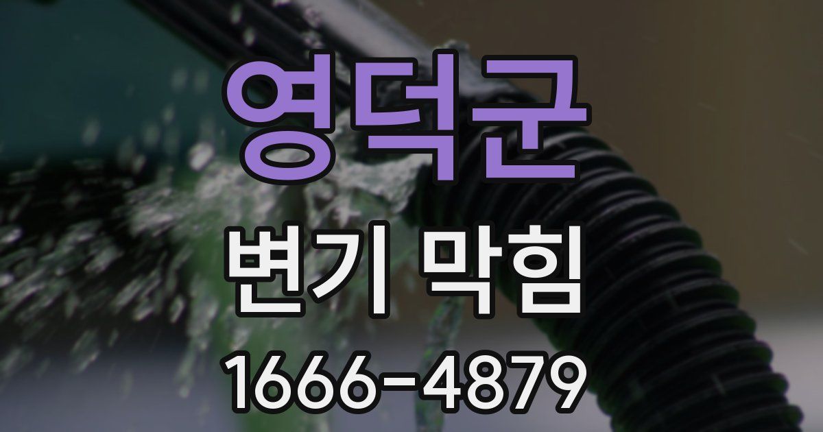 영덕군 변기 막힘