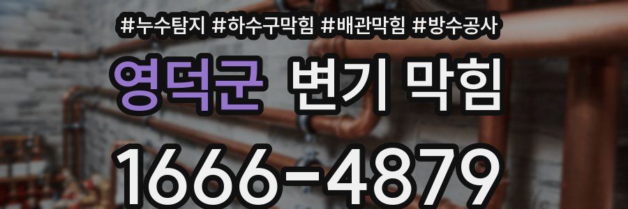 영덕군 변기 막힘