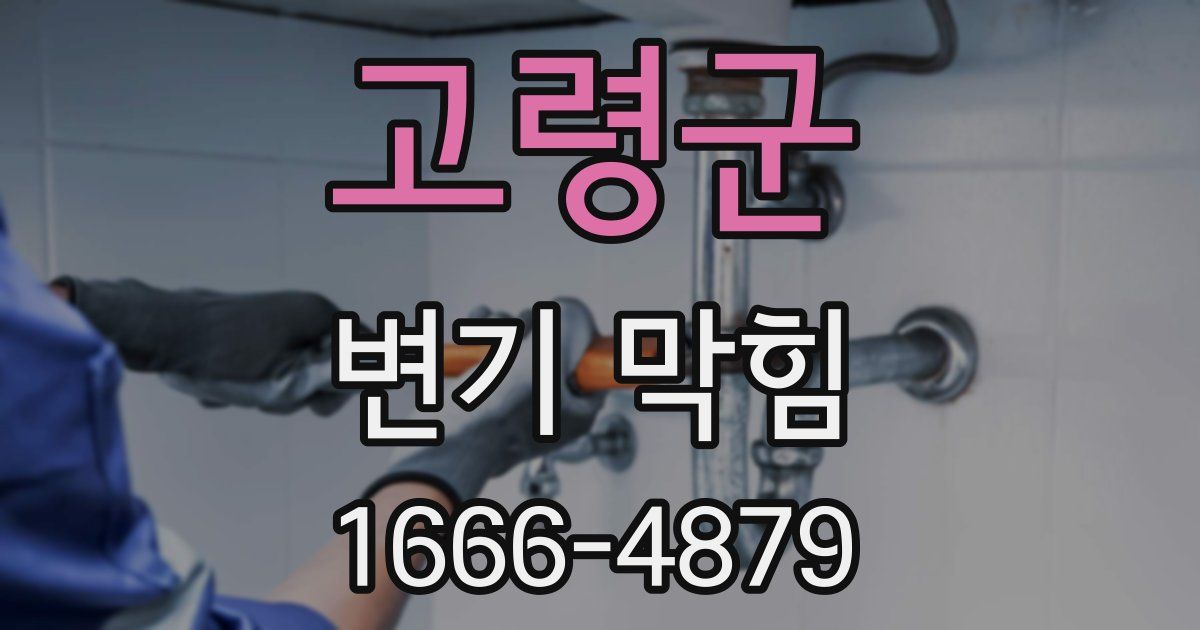 고령군 변기 막힘