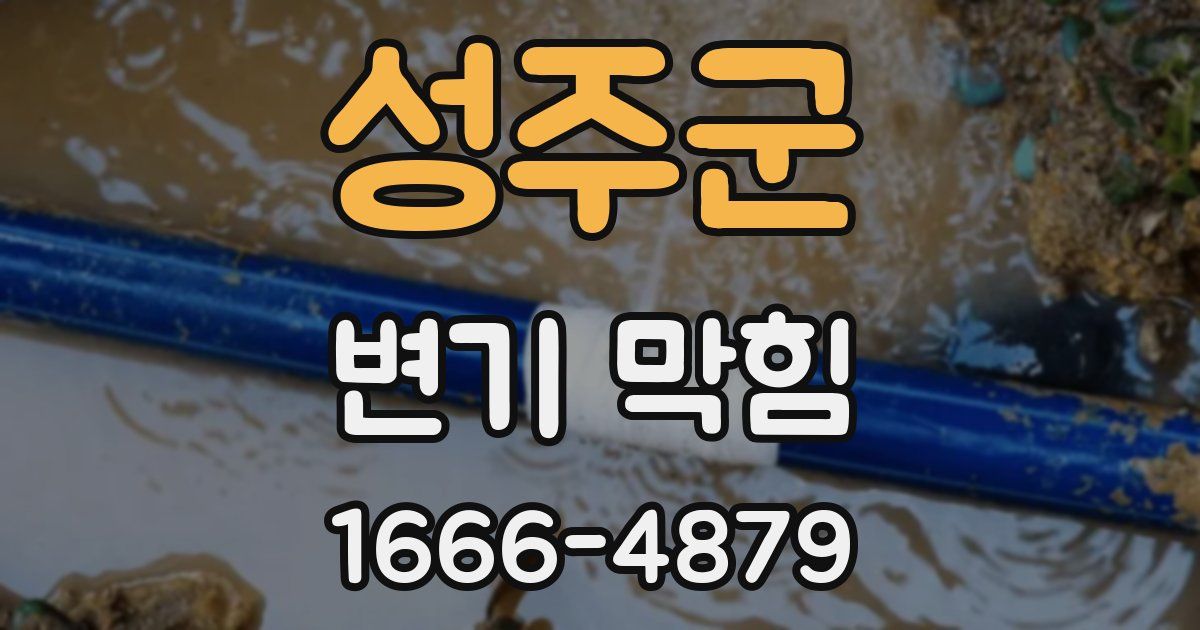 성주군 변기 막힘