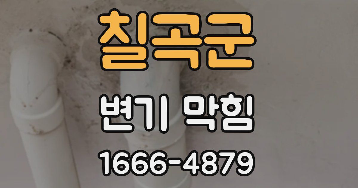 칠곡군 변기 막힘
