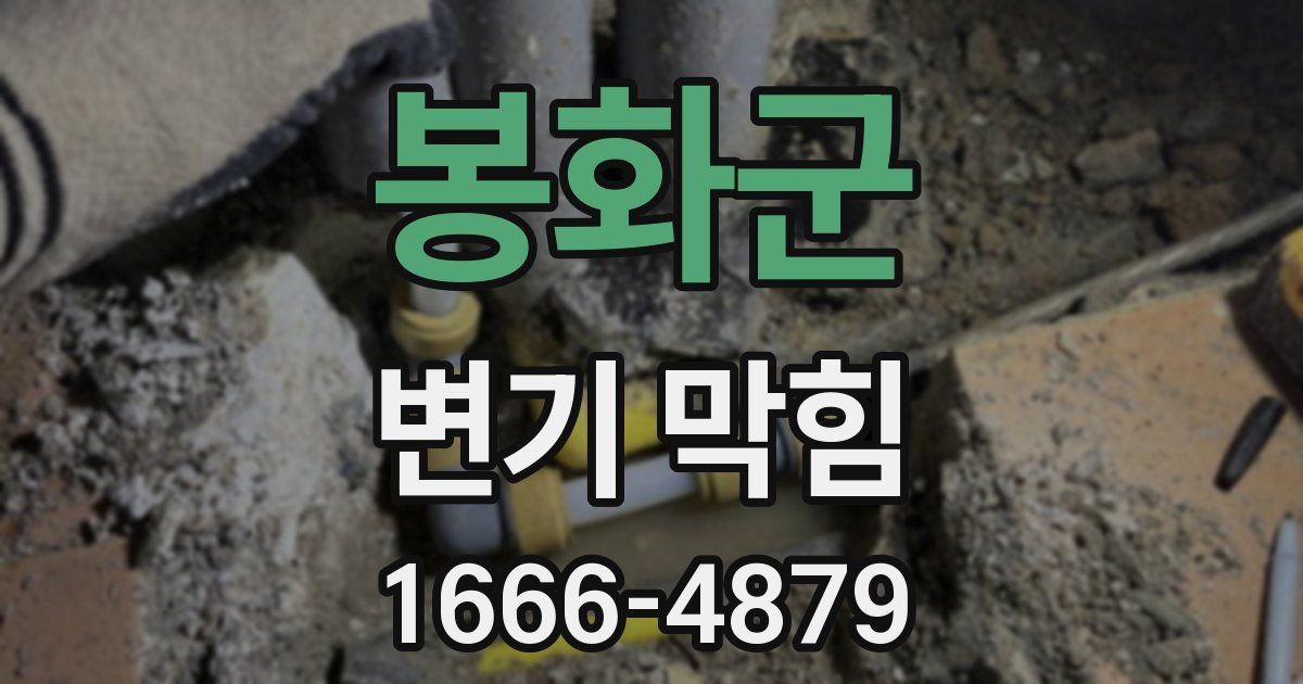 봉화군 변기 막힘