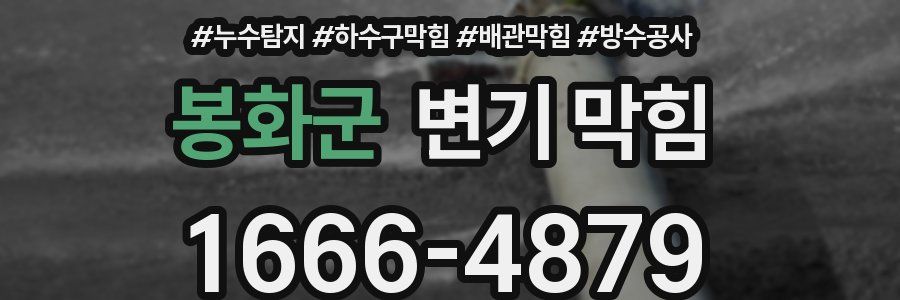 봉화군 변기 막힘