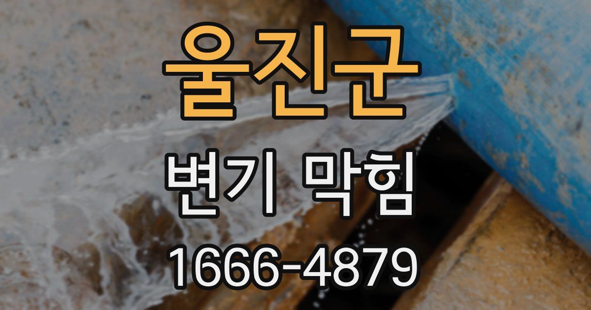 울진군 변기 막힘