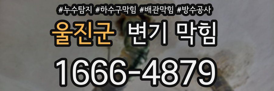울진군 변기 막힘