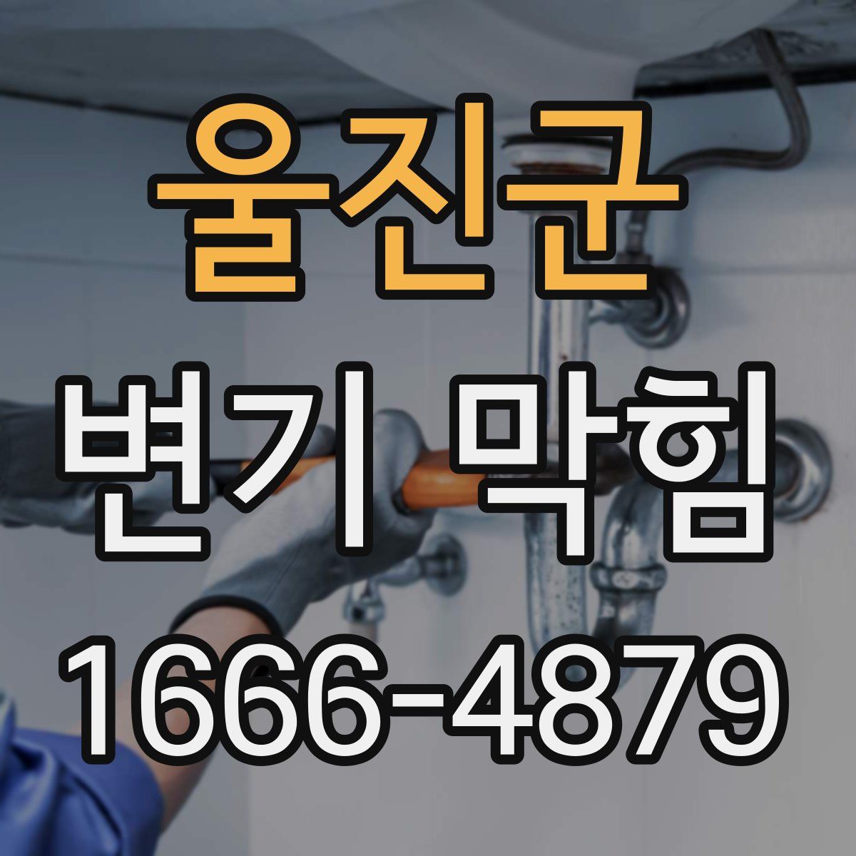 울진군 변기 막힘