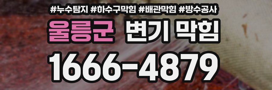 울릉군 변기 막힘
