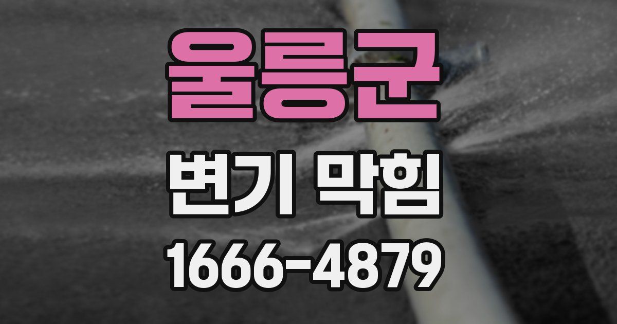 울릉군 변기 막힘