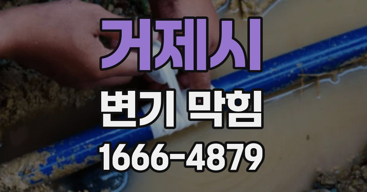거제시 변기 막힘