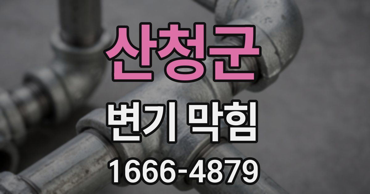 산청군 변기 막힘